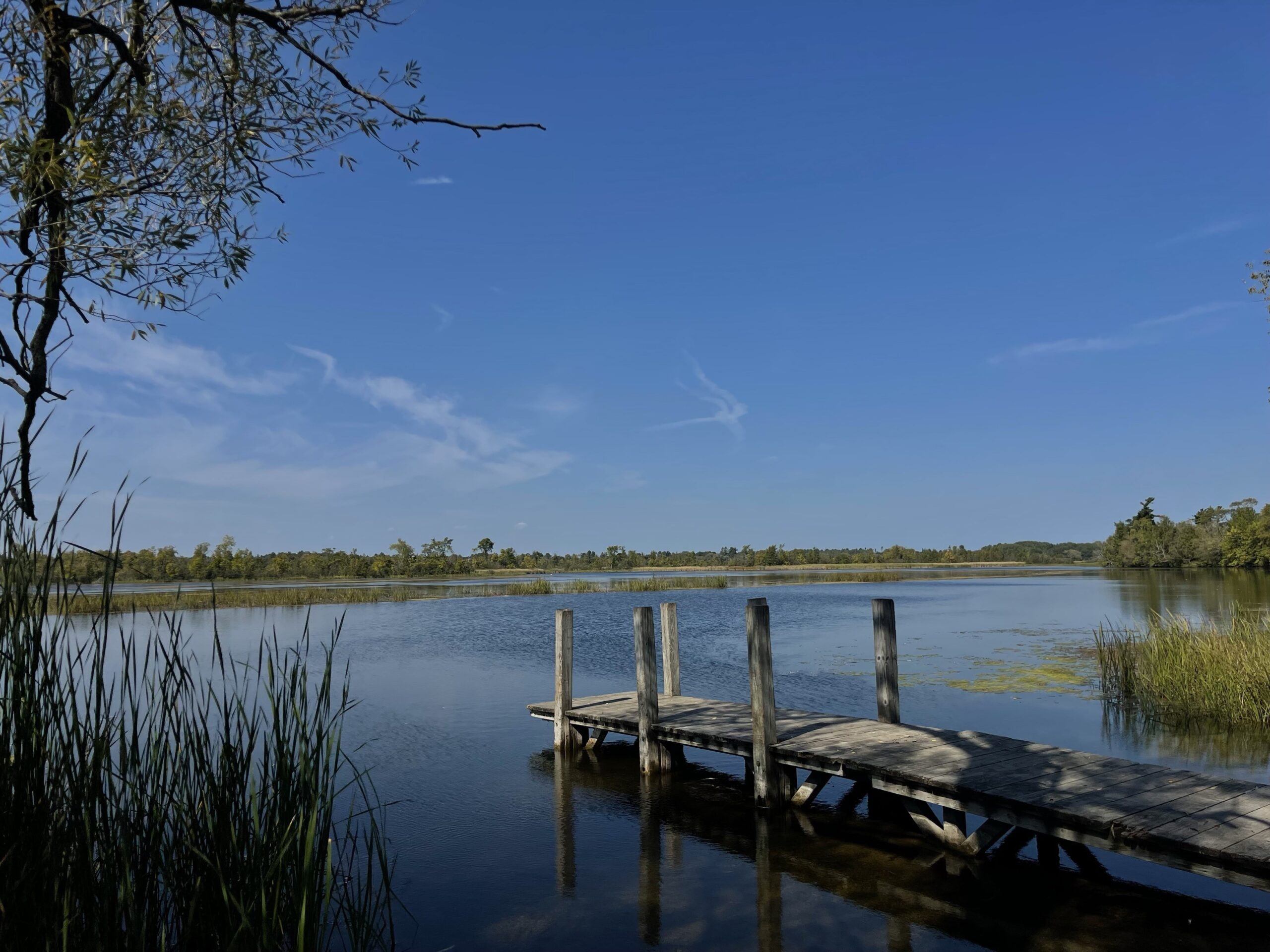 Picture of a dock and water